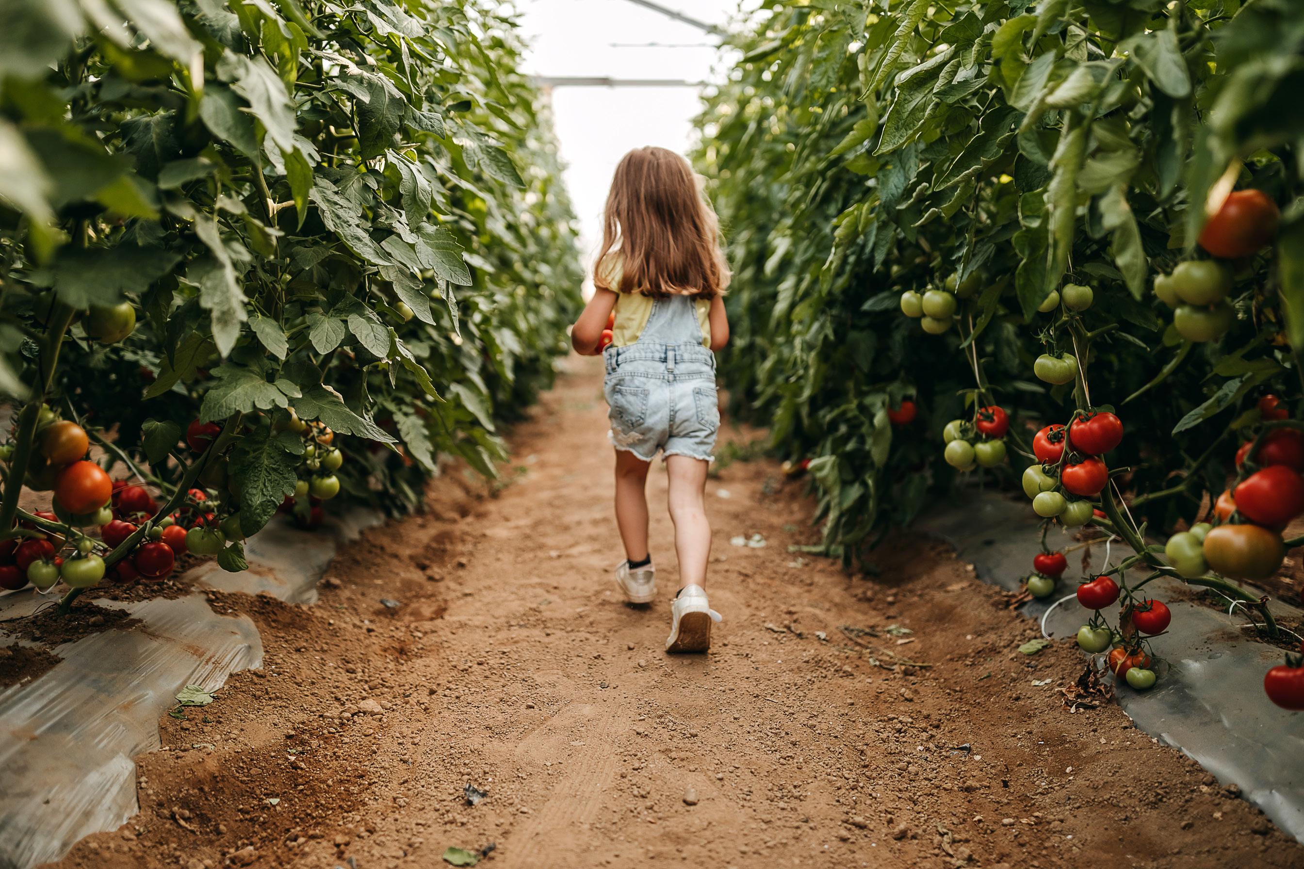 Orchard living
