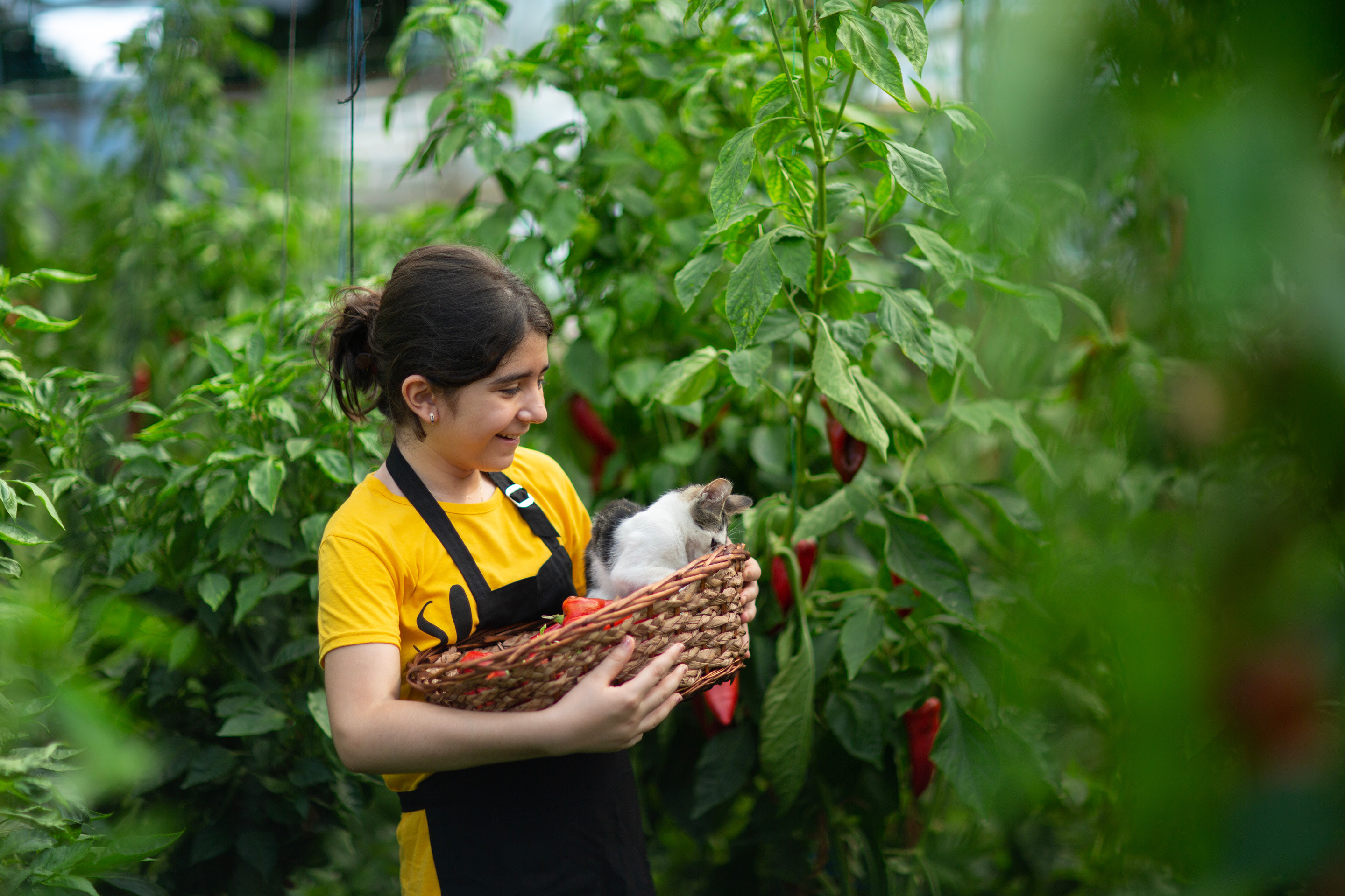 Organic farming